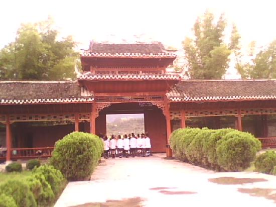Photos of Ancient Banyan Group of Chejiang