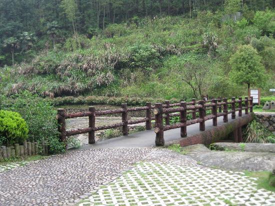 Photos of Baishuiyang Scenic Resort