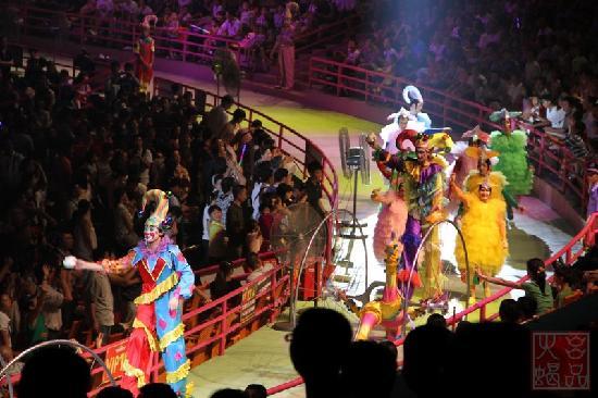 Photos of Chang Long International Circus