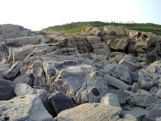 Photos of Chrysanthemum Island