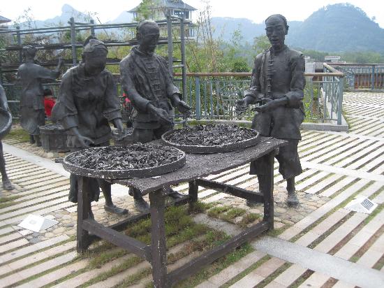 Photos of Da Hong Pao (Big Red Rope) Scenic Area