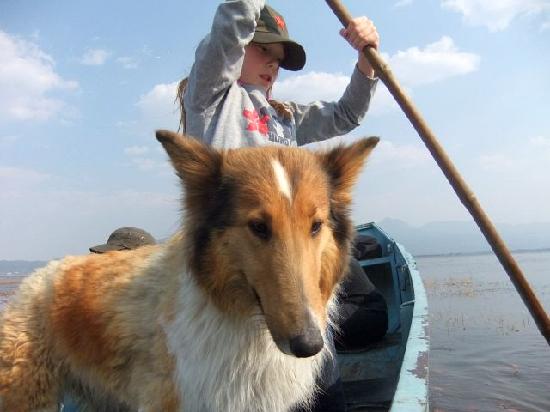 Photos of Day hike Lijiang with Keith and Lassie