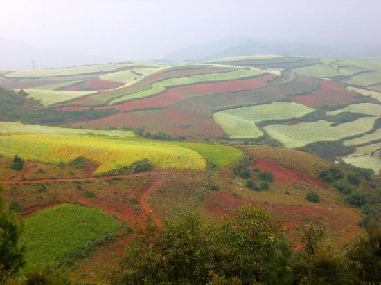 Photos of Dongchuan Red Land