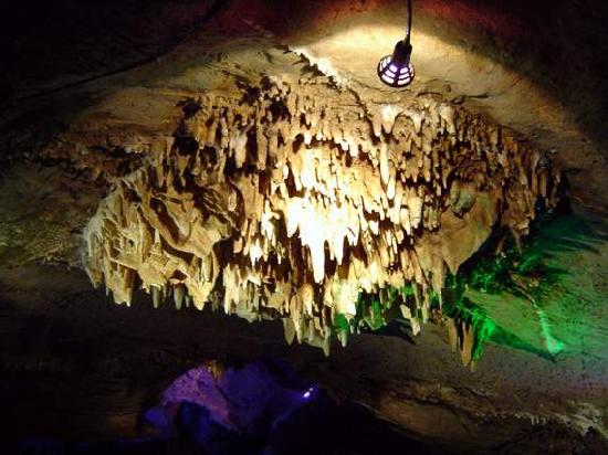 Photos of Fish Cavern
