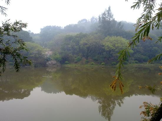 Photos of Forest Park, Quanzhou