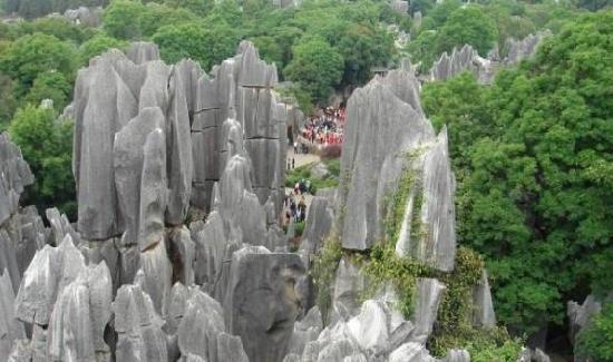 Photos of Grand Stone Forest