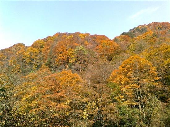 Photos of Guangwu Mountain