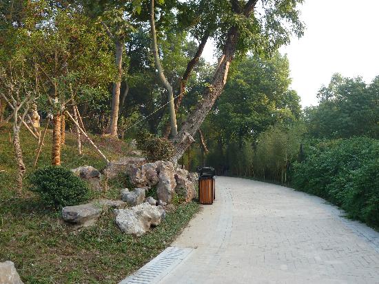 Photos of Hefei Huancheng Park