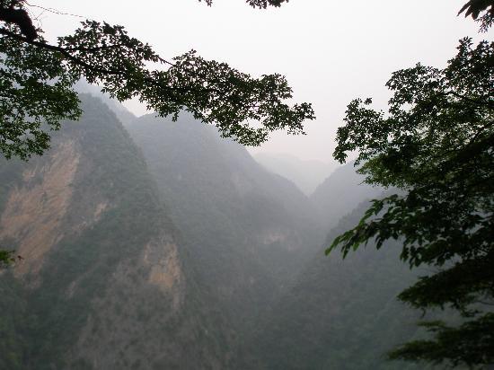 Photos of Jinsixia National Forest Park