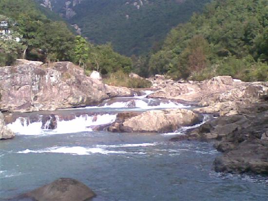 Photos of Jiulong Valley Foest Park