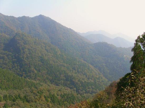 Photos of Jixian Jiulongshan National Forest Park