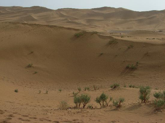 Photos of Kumutage Desert