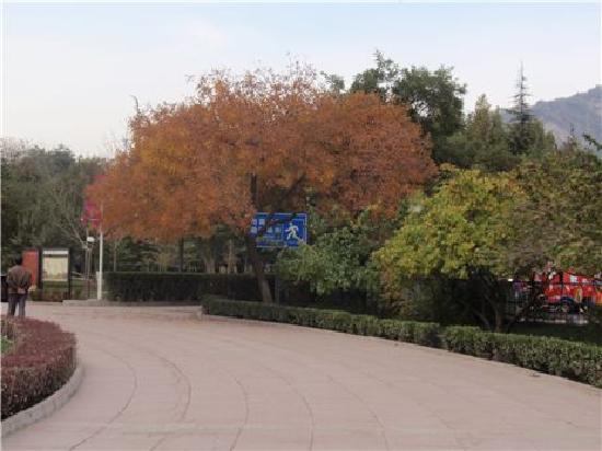 Photos of Lanzhou Xiaoxihu Park