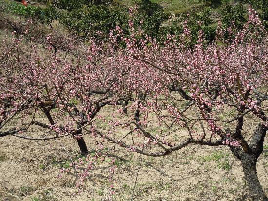 Photos of Lishui Liandu Jiukeng Utopia