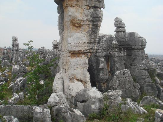 Photos of Liziqing Stone Forest