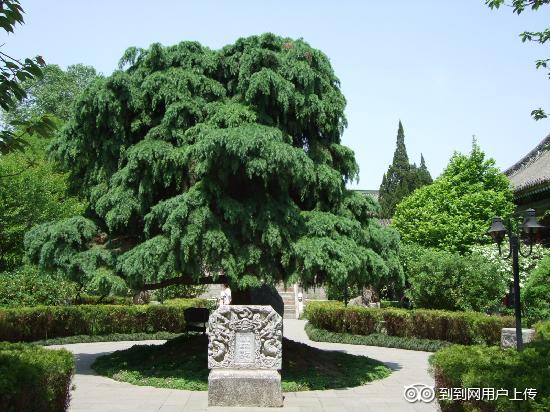 Photos of Museum of Hanzhong