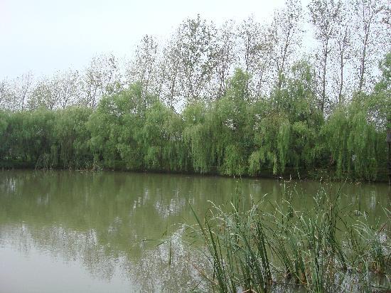 Photos of Qin Lake