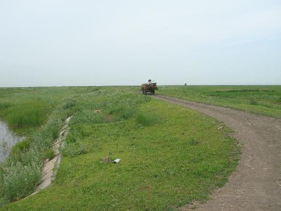 Photos of Qiqihaer Forest Park