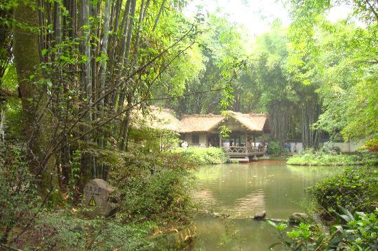 Photos of Santai Du Fu′s Thatched Cottage