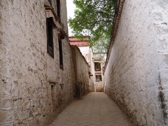 Photos of Sera Monastery
