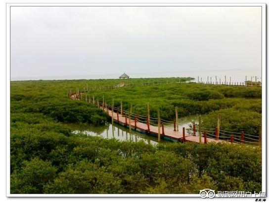 Photos of Shankou Mangrove Ecological National Nature Reserve