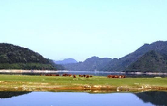 Photos of Taiyanghu Wetland