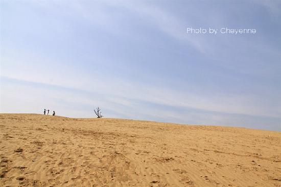 Photos of Tianmo Natural Desert