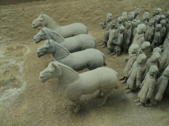 Photos of Western Han Dynasty Terracotta Warriors
