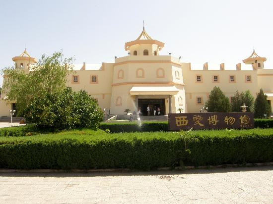 Photos of Western Xia Tombs