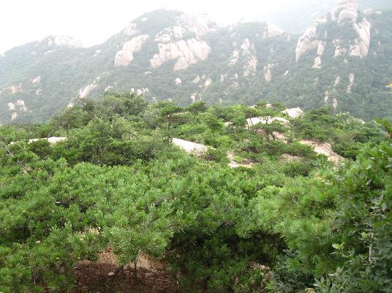 Photos of Wulian Mountain