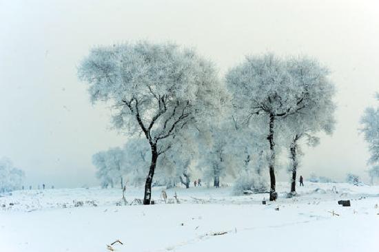 Photos of Wusong Island