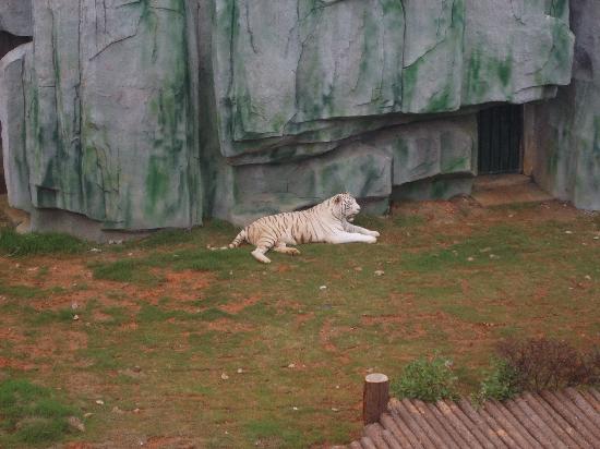 Photos of Wuxi Zoo