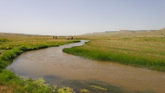 Photos of Xilinguole Grassland Nature Reserve