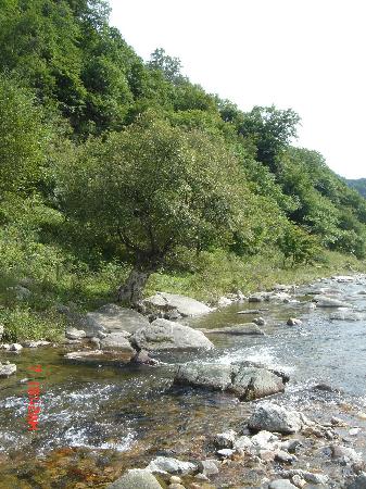 Photos of Yanghugou Ecological Tourist Area