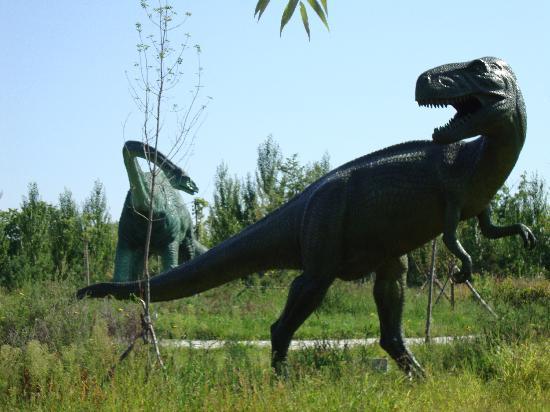 Photos of Yichun Dinosaur Museum