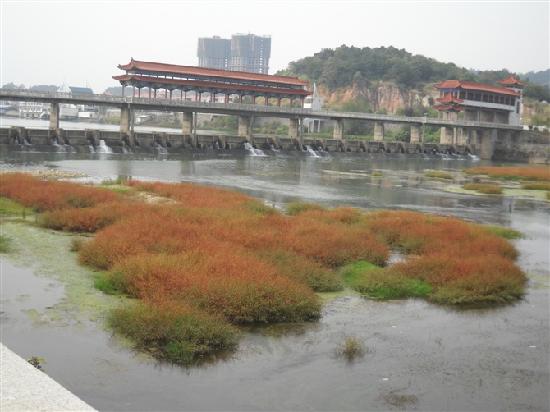 Photos of Yichun Wetland Park