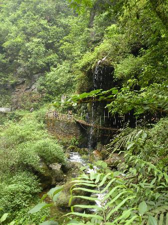 Photos of Zijiang Ecological Tourist Zone