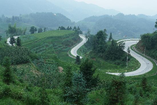 Photos of Ziquejie Terrace National Scenic Resort