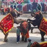 Photos of Dalian Forest Zoo