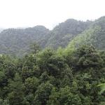 Photos of Jinxiu Valley of Lushan Mountain