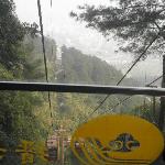 Photos of Jinyun Mountain Natural Reserve