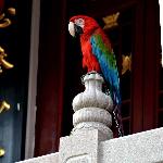 Photos of Kaiyuan Temple