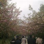 Photos of Nanshan Botanical Garden