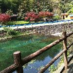 Photos of Ningbo Wulong Pond
