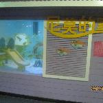 Photos of Shengya Aquarium