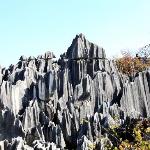 Photos of Small Stone Forest