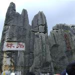 Photos of Yunnan Stone Forest Geological Park
